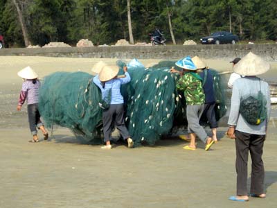 我国各族人口数_中国军队各民族人数排名(2)