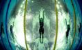图文-9日奥运会游泳预赛比赛 水中世界谁是王者