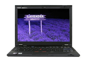 ThinkPad X301