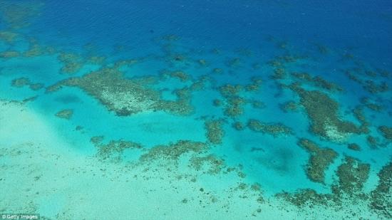 大堡礁可谓是大自然创造的一个奇迹 全球气候变暖将致澳大利亚大堡礁20年后消失