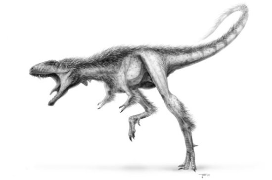 Raptorexֻ2.7ףͰһǰ֫С֫ѸݡǸйɹŷֵRaptorexʯƵͼ