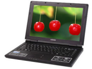   Q5000 D1