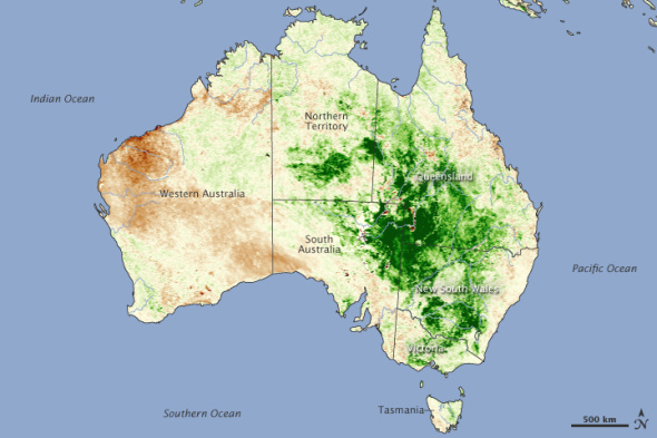 卫星图片揭示澳洲中部植被异常茂密景象(图)