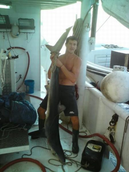 ��Դ�������������