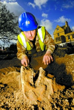 　考古学家西恩·瓦利斯在牛津大学挖掘遗骨