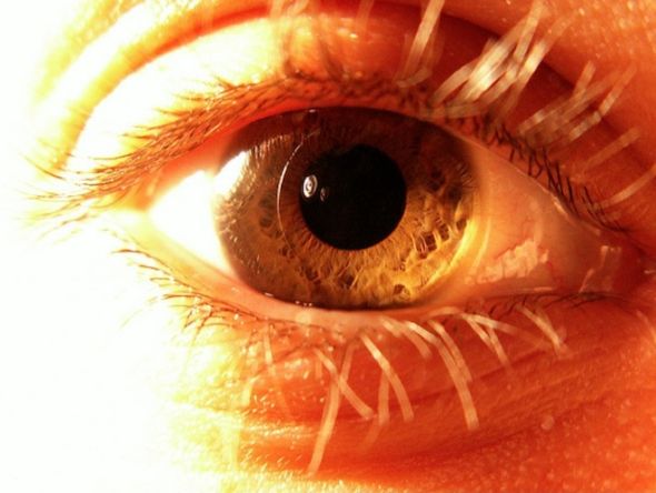 美国科学家研究发现人类的眼睛或能看到地球的磁场(图)
