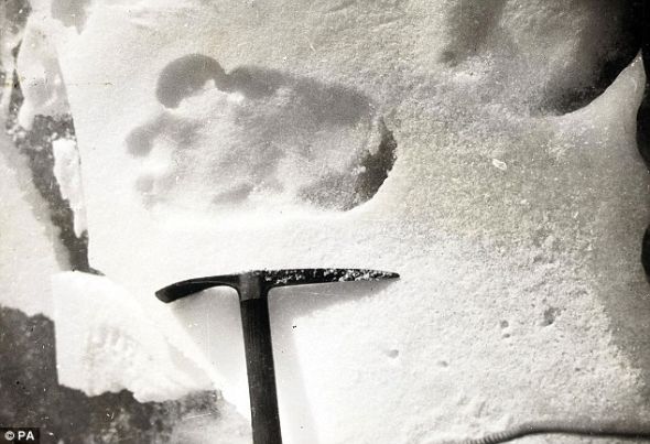 在雪地上发现的一个奇怪脚印，探险队认为这是一个穴居人的足迹