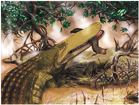 已知最古老鳄鱼距今9500万年头部长铠甲(图)