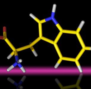 色氨酸：一位科学家说，这种氨基酸的轻微“扭动”就可能意味着其他星球上的生命会以不同方式进化。