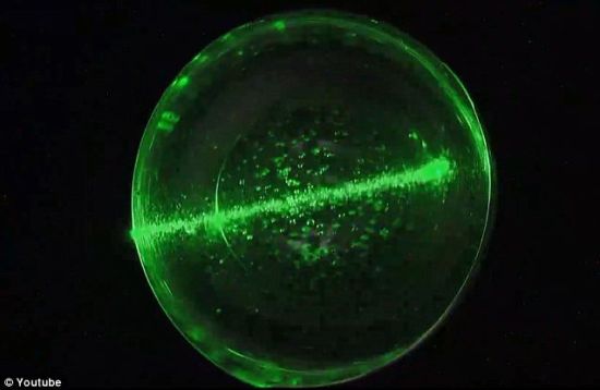 佩蒂特利用激光展示小泡泡内出现的活动
