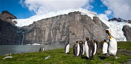 研究显示古代南极曾是绿洲：最高温达7℃