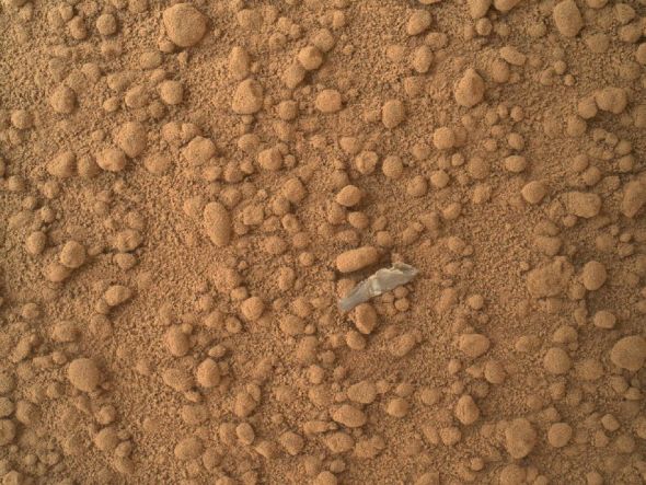 ������Ƭ���ɻ����ֳ�ʽ��΢������(MAHLI)����ġ�ͼ���Ͽ��Կ���һ��΢С������ǳɫ���壬��λ������ͼ�����²�������ͼ�񸲸ǵ��������ԼΪ1.3���ס�������������һǳɫ�����Ǻ���Ž���ʱ����ķɴ�������м��