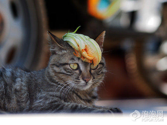 ���ְ�˹E-M5��75/1.8 | ISO200 | 0.3EV | f/2.2 | 1/500s