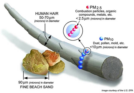 PM2.5ʲô