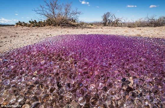 好像没人知道沙漠中的这些紫色球来自哪里。
