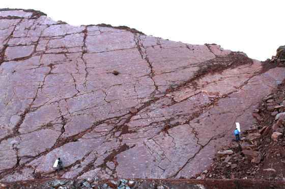 �����Ա�ڻ�ʯ�㿼��