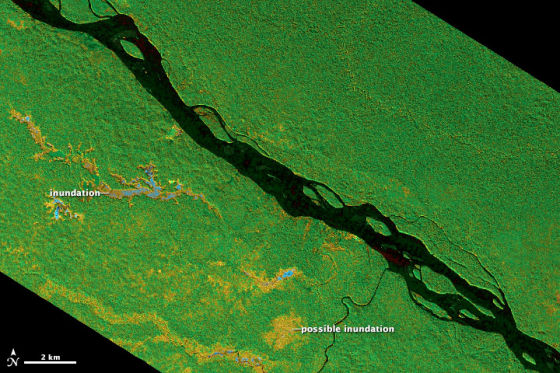 每日卫星照:亚马逊流域热带森林湿地|卫星|森林