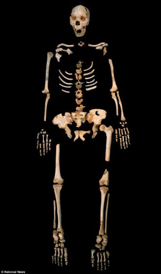 该图显示的是在胡瑟裂谷发现的一具海德堡人的骸骨，这个独一无二的洞穴遗址位于西班牙