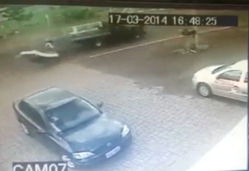 �����������ȵ�������