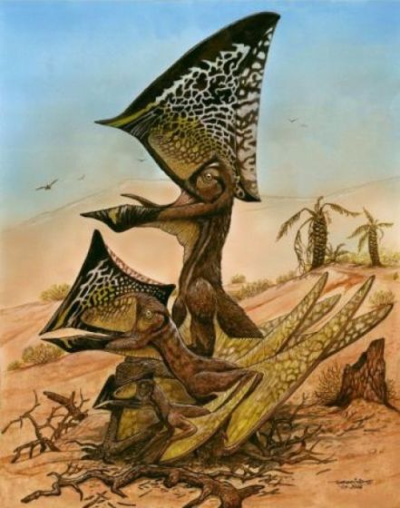 科学家发现翼龙新物种：头冠巨大向上耸立翼龙新物种白垩纪