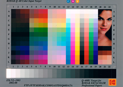 1258462183_rP9P8T.jpg