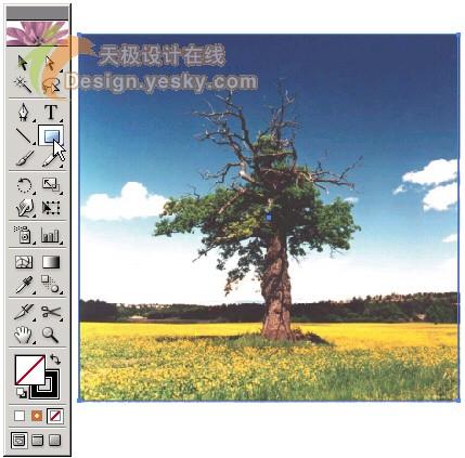 Illustrator�ḻ������������Ư�����