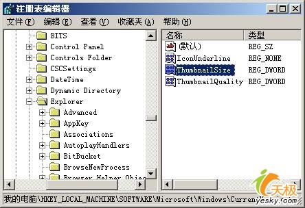 耳目一新 新鲜花样玩好windowsxp缩略图(2)