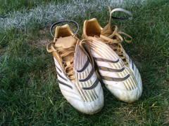 ��������������ȫ��������P1cר������(4)