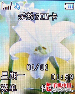 ��ɫ�鶯��ʹ�����ߵͶ����ֻ�i528����(4)