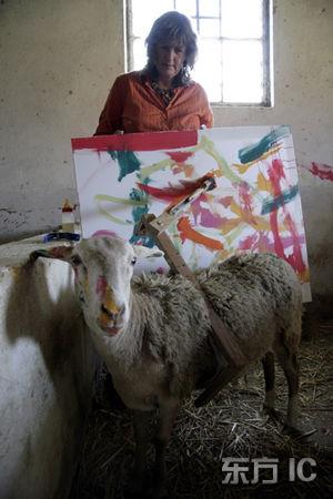 南非绵羊会画画已售出1000幅(组图)