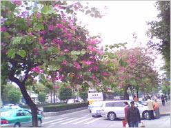 ˫�������ݺ῵����д��������D306����(5)