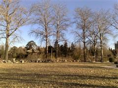 500������ŵ����GPS����������N82����(19)