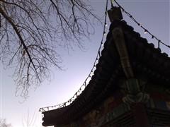 500������ŵ����GPS����������N82����(19)