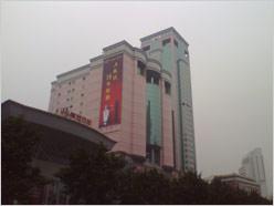 Ϯ VoxtelֻW520
