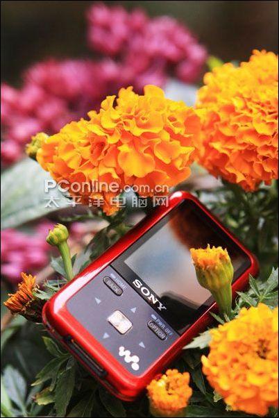 ���꿴�»�2008���´���ƷMP3/MP4�Ƽ�(6)