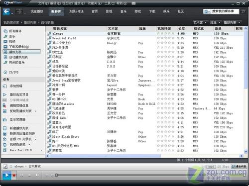 ���ʲ���ͣRealPlayer11���Լ�������(2)