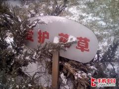 精致而且强大夏新WM6智能手机N810评测(9)