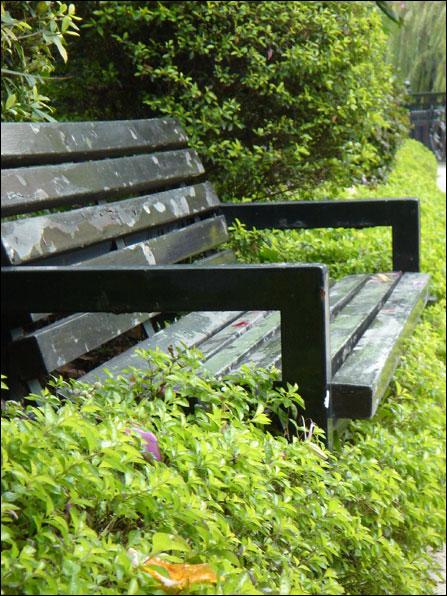 500����������G800������T5����Ա�(6)