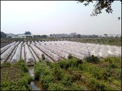 ��������ŵ����5310XM��Ħ��E8�Ա�(9)