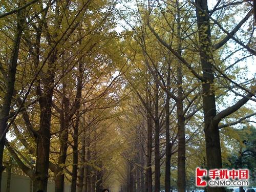 最靓变身最强1.1.4版iPhone终极评测(14)