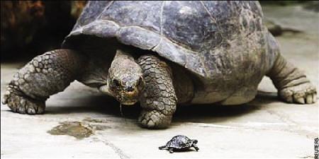 �޹�ĸ���������3000��