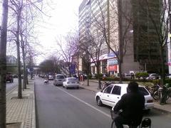 �໬ȫ���̶�֥�������ܻ���G900����(5)