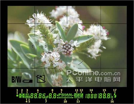 ��������ָ����Ӱ���ɳ�������ƪ(5)