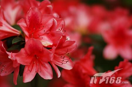 ս85F1.2˾85F1.4Ա(2)