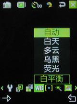 ��������������Ǹ��������ֻ�W599����(5)