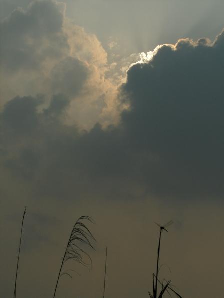 �򵥶�������ͨ��ʵ��ǿ��A735����(4)