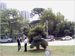 �����ڶ����캽���մ�P660������������(10)
