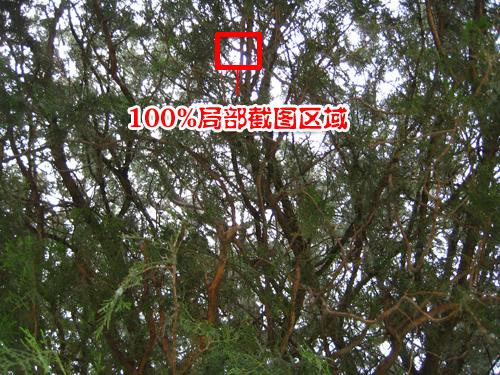 ����C700������K850i����������Ա�(16)