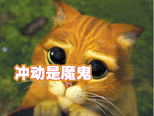 冲动是魔鬼近期不适合出手的五款消费DC