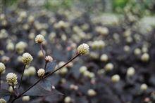 ��ǧ��ԪԲ�㵥�������ŵ�������ϸѡ